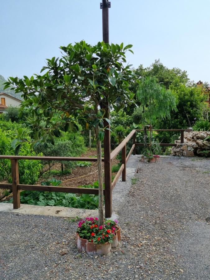 Il Ruscello *