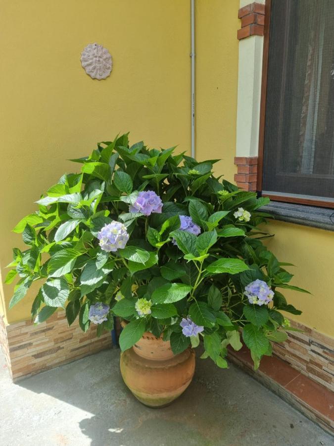 Il Ruscello Maratea